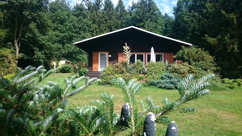 Chalet Harmonie Harzgerode Exterior photo