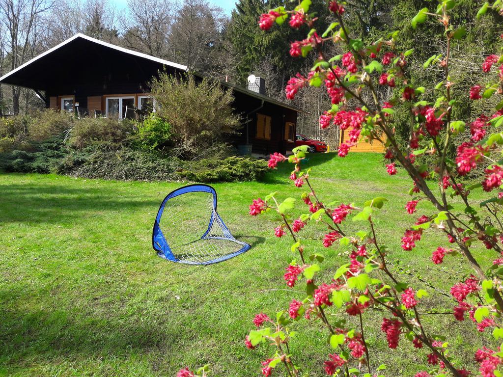 Chalet Harmonie Harzgerode Exterior photo