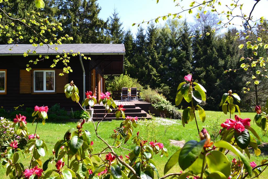 Chalet Harmonie Harzgerode Exterior photo