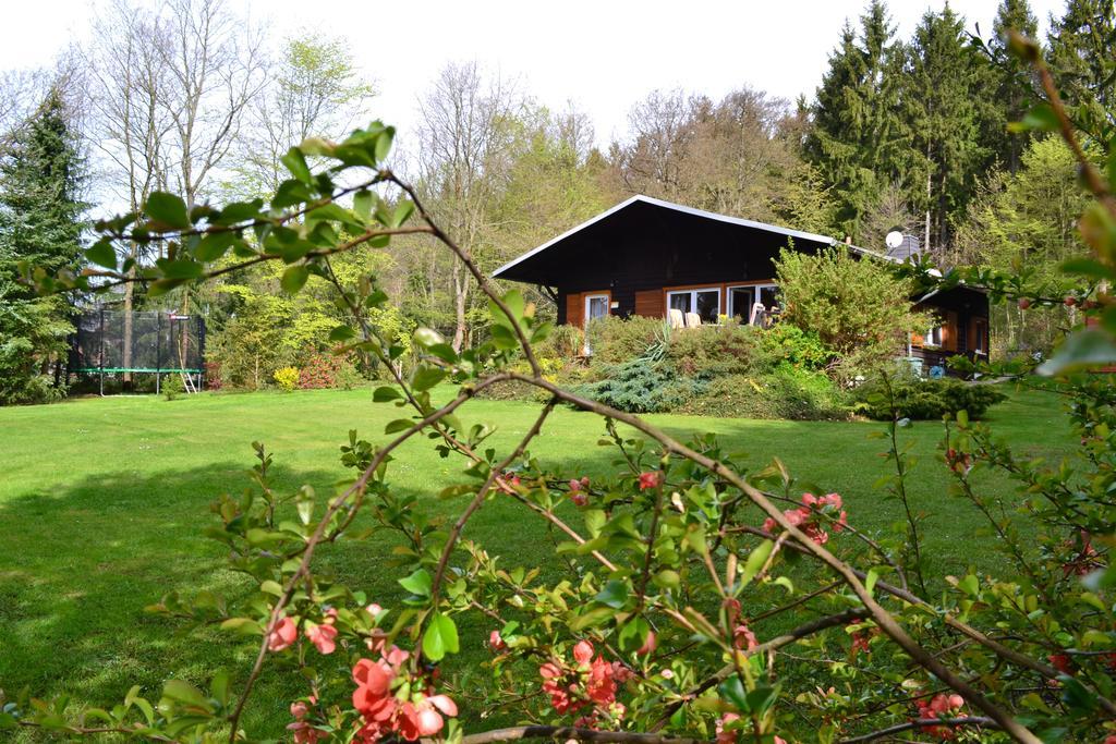 Chalet Harmonie Harzgerode Exterior photo